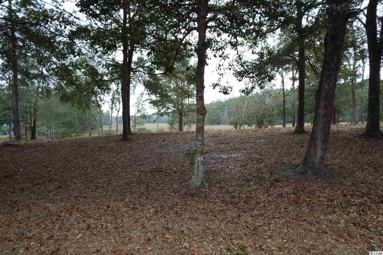 Lot 1 Big Landing Dr. Little River, SC 29566