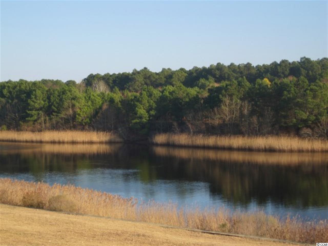 Lot 49 Ave. of the Palms Myrtle Beach, SC 29579