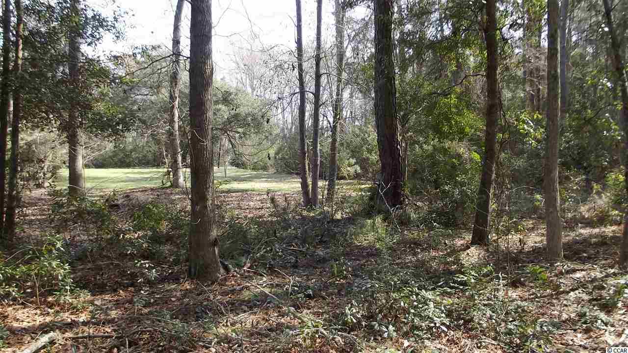 260 Edith Point Ct. Pawleys Island, SC 29585