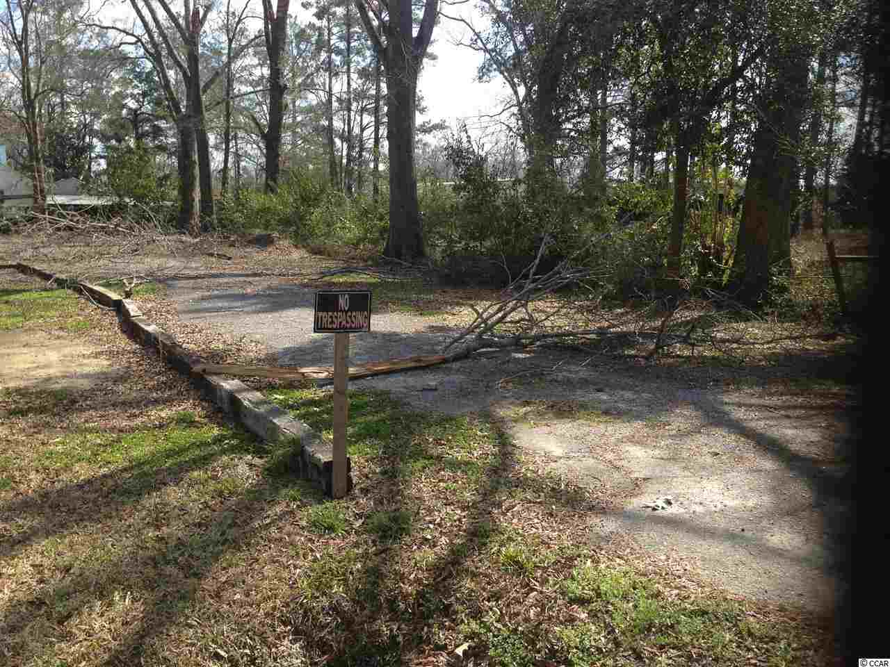 Lot 3 N Farr Ave. Andrews, SC 29510