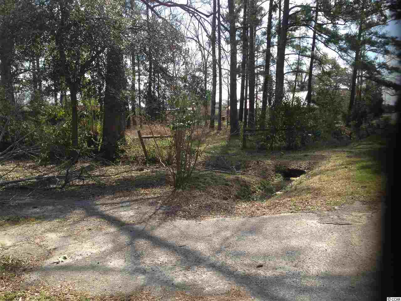 Lot 5 N Farr Ave. Andrews, SC 29510