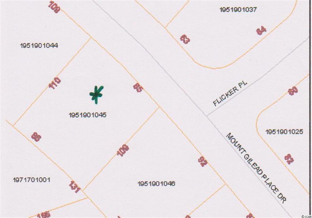 Lot 28 Mount Gilead Rd. Murrells Inlet, SC 29576