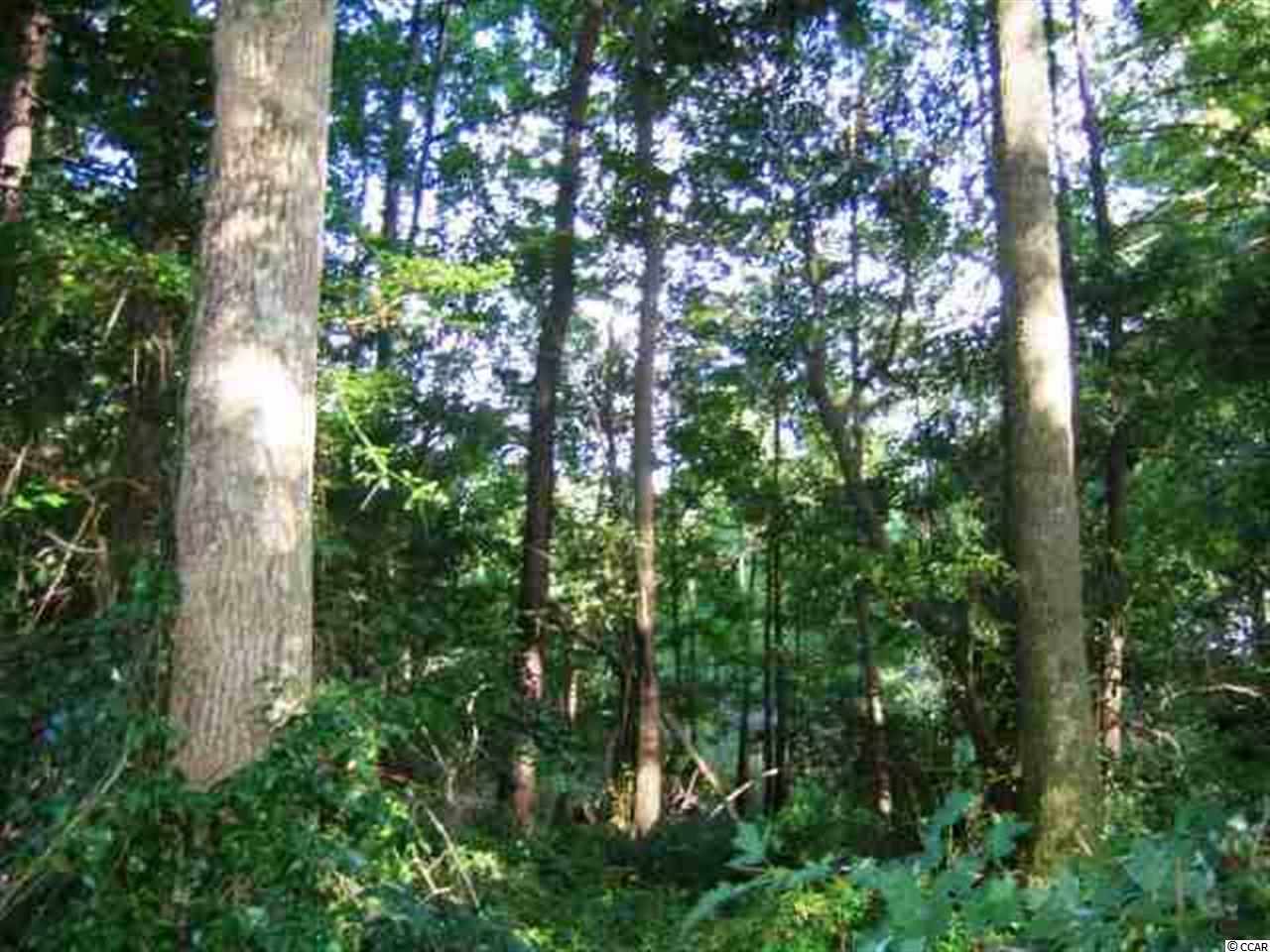 lot 18 Red Maple Dr. Pawleys Island, SC 29585