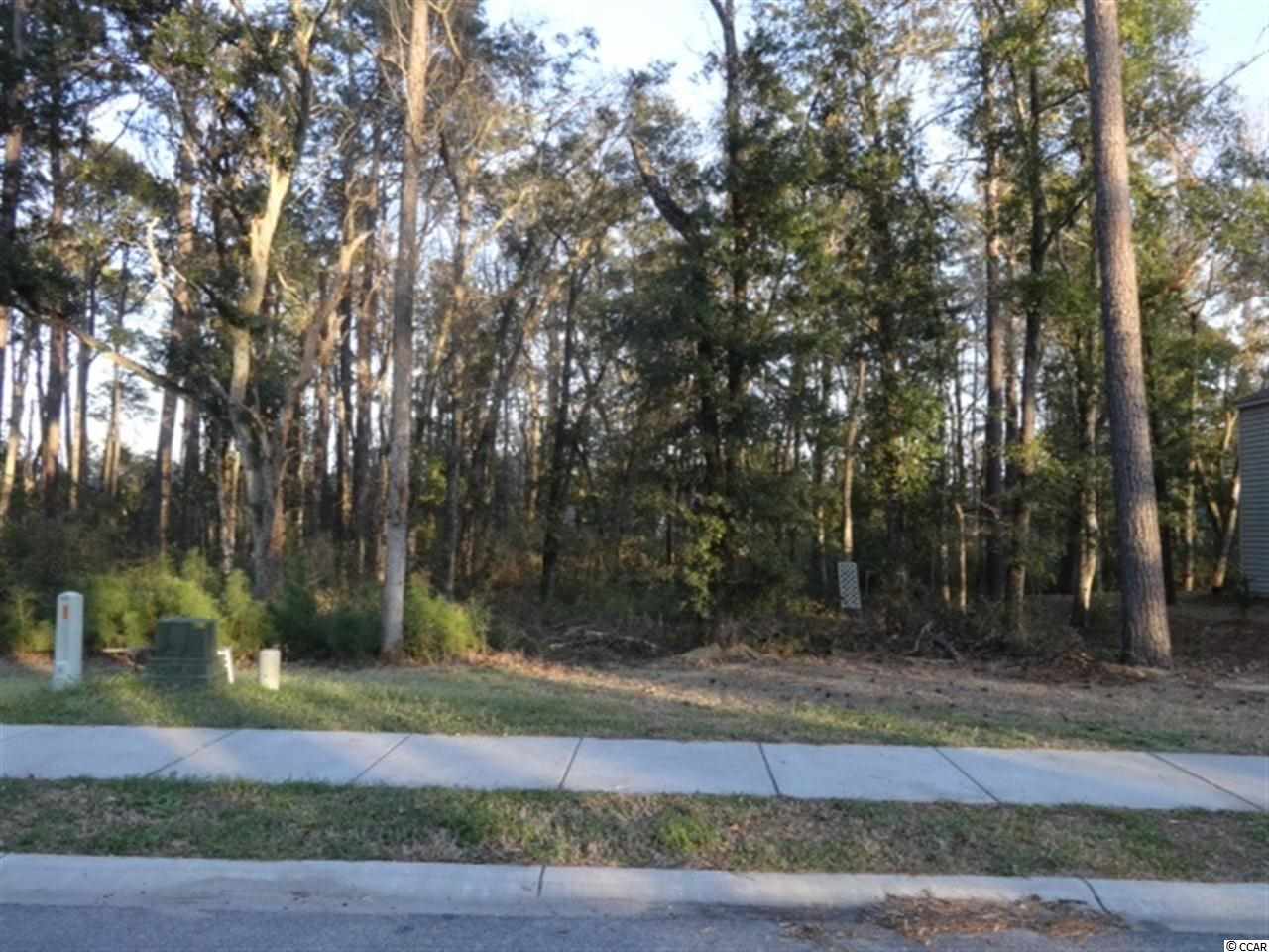 Lot 44 Dunning Rd. Pawleys Island, SC 29585