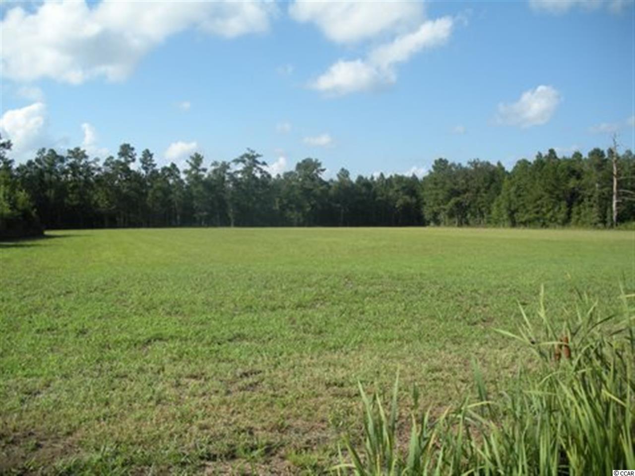 18 acres Brown Swamp Rd. Conway, SC 29527
