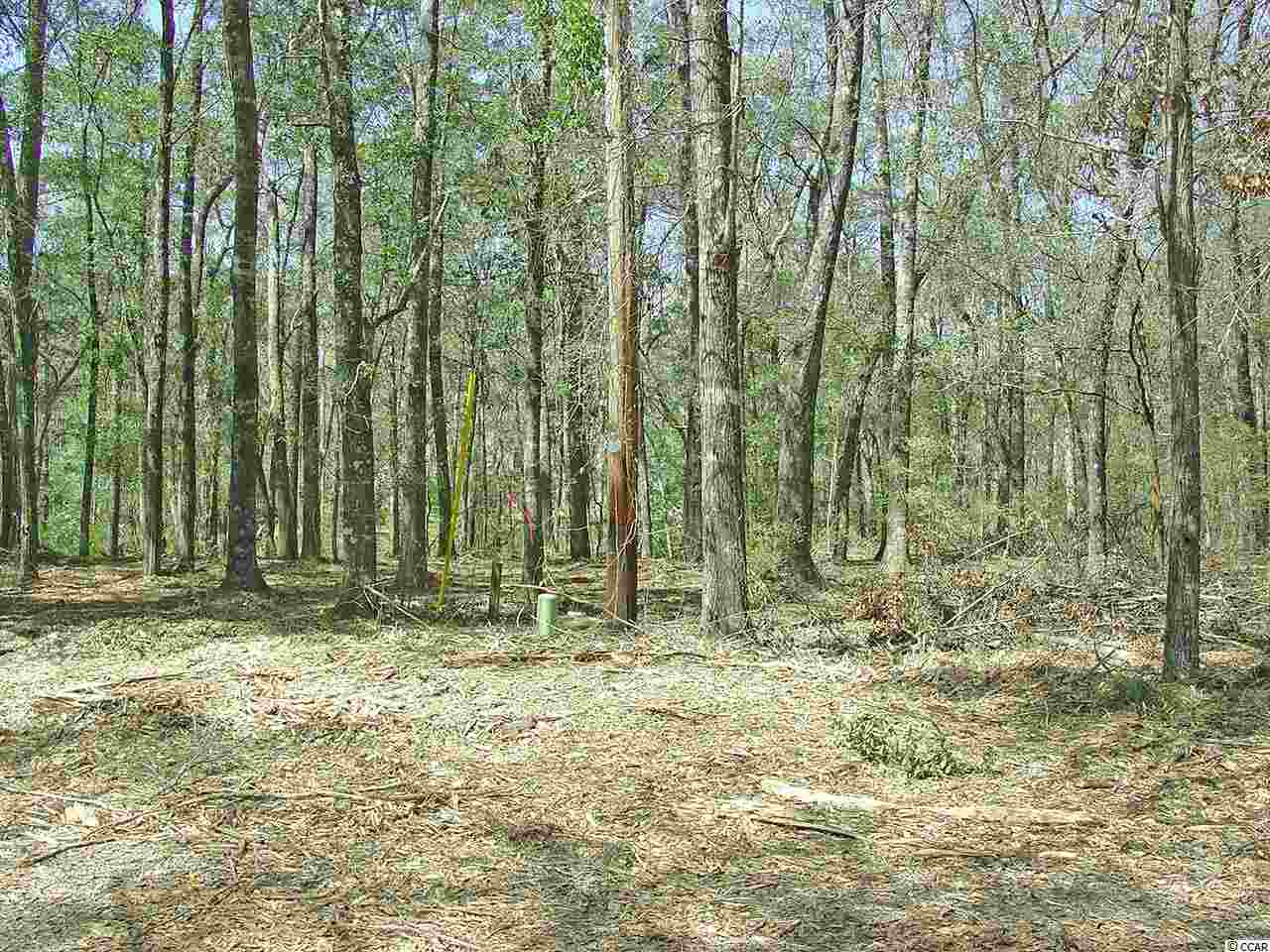 Lot C Citadel Pl. Pawleys Island, SC 29585