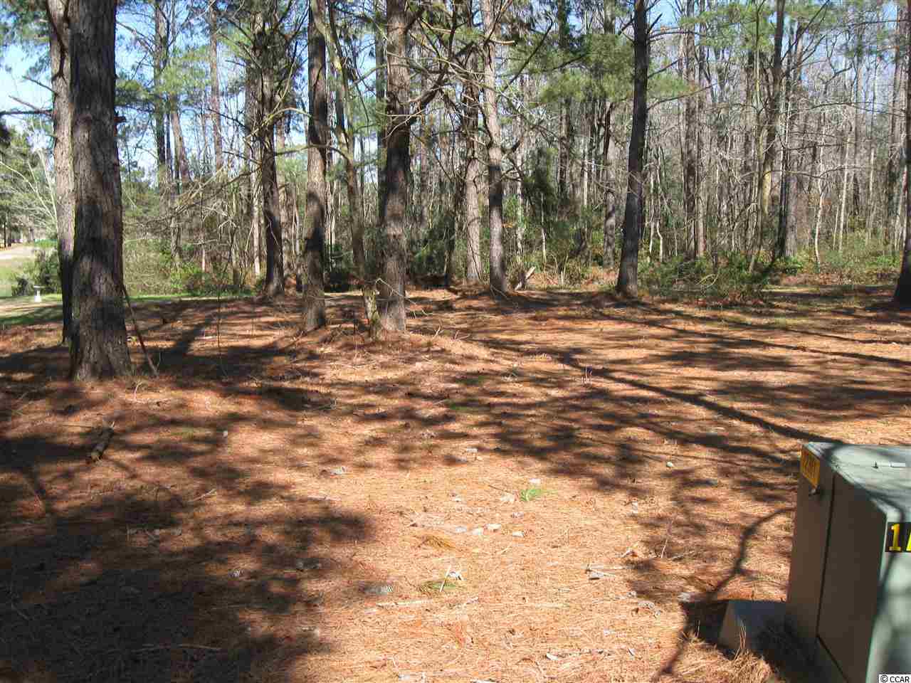 1055 Ridge Walk Way Calabash, NC 28467