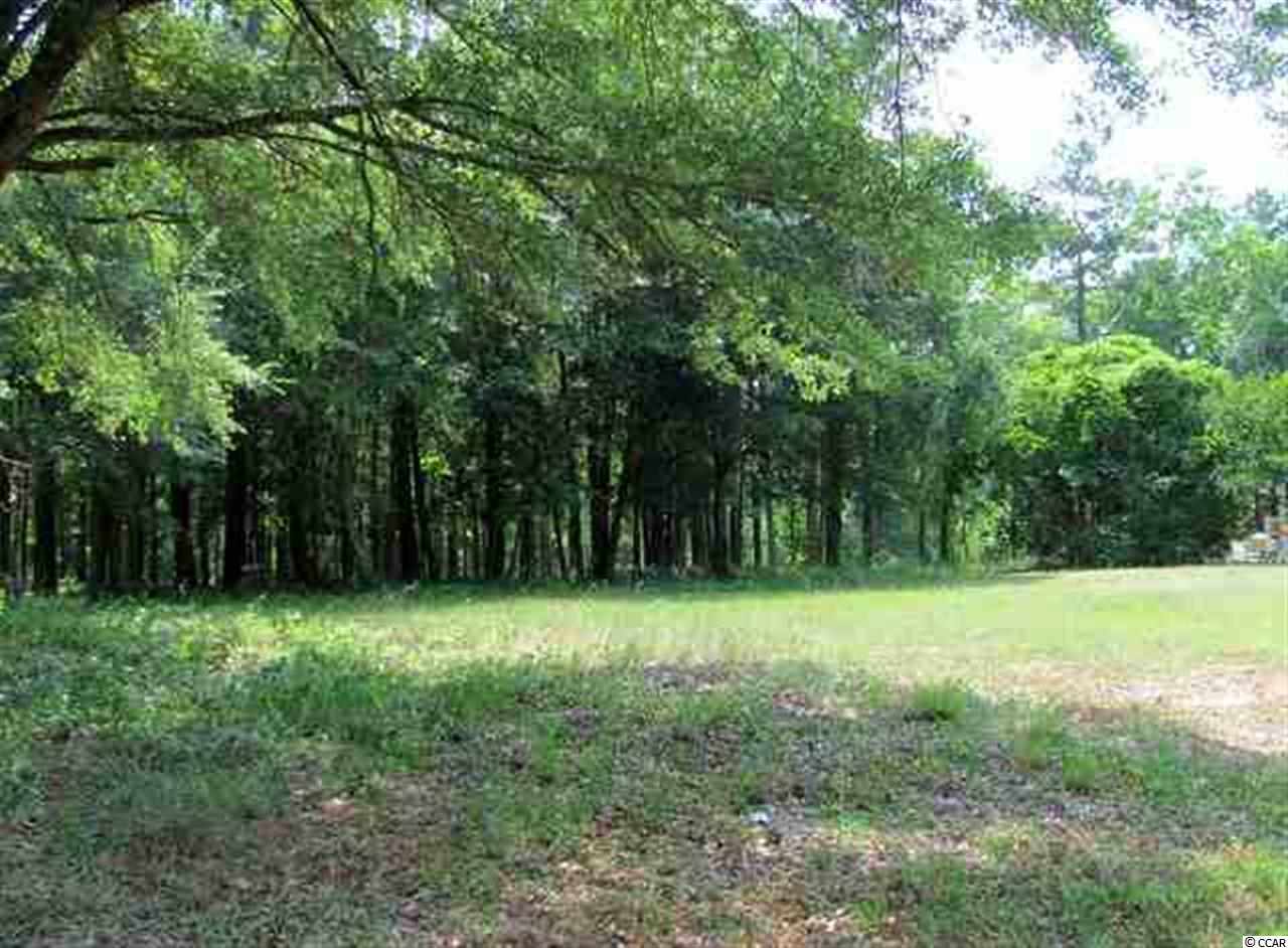 Lot 14 Winnowing Way Pawleys Island, SC 29585