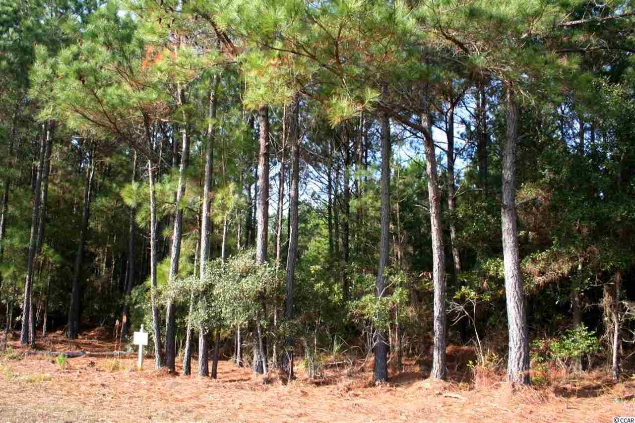 Lot 106 Vanderbilt Blvd. Pawleys Island, SC 29585