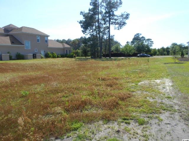 Lot 334 Wild Wing Blvd. Conway, SC 29526