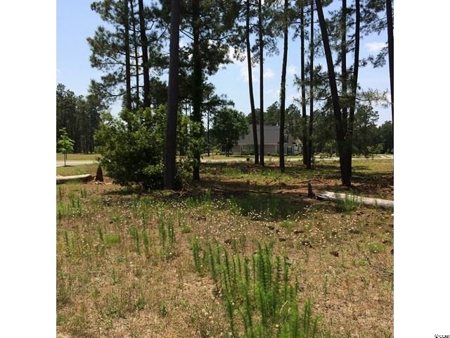 TBD Brood Ct. Conway, SC 29526