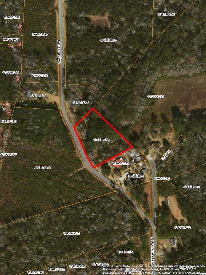 TBD Gator Lake Ln. Little River, SC 29566