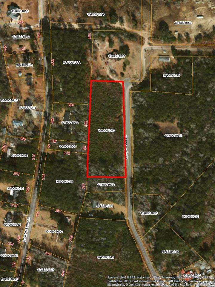 TBD Gator Lake Ln. Little River, SC 29566
