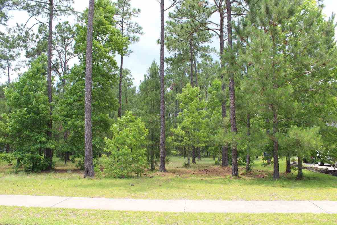 Lot 172 Woodburn Dr. Myrtle Beach, SC 29579