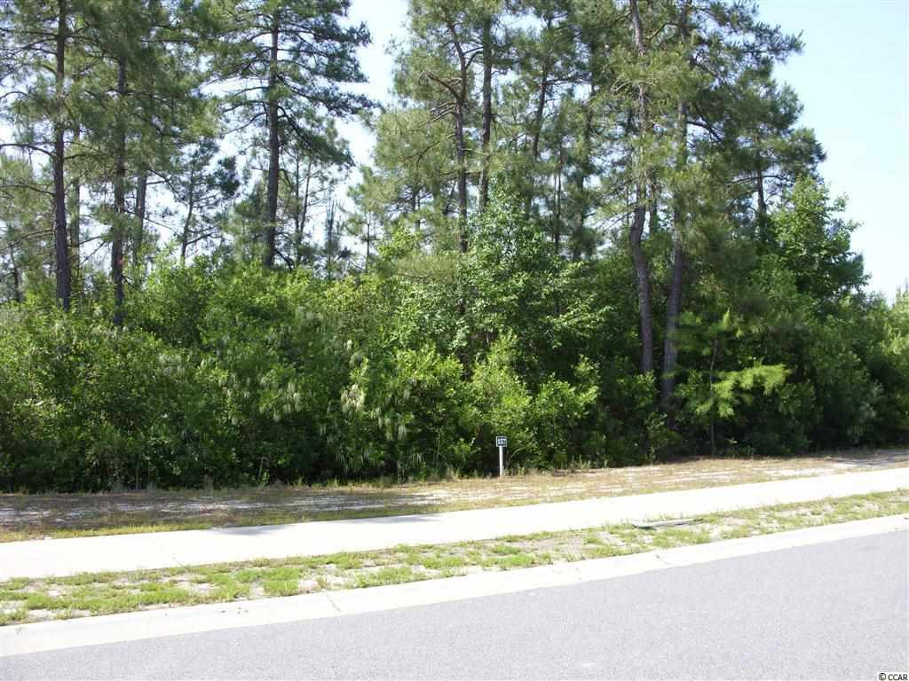 Lot 157 Babylon Pine Dr. Myrtle Beach, SC 29579