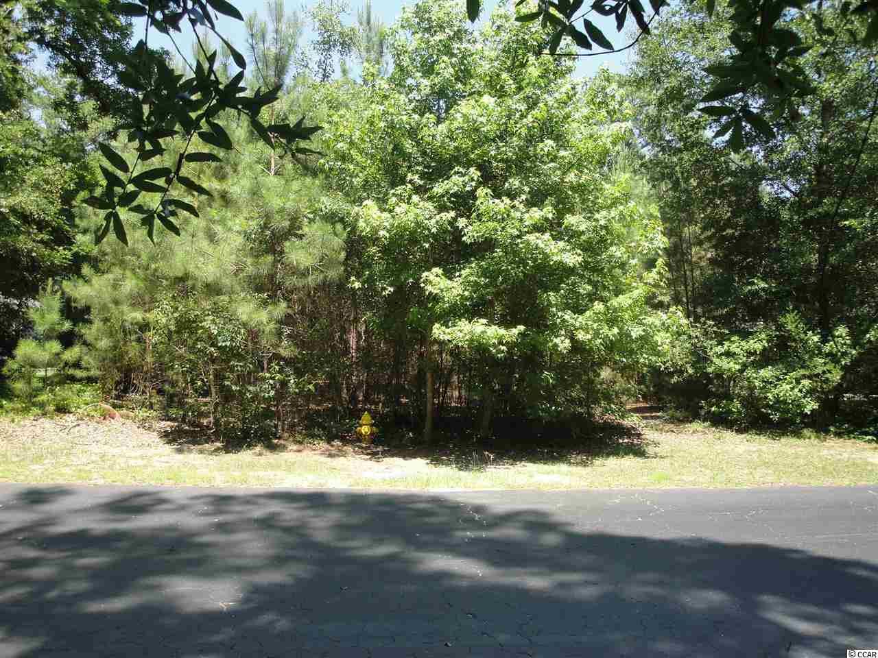 Live Oak Dr. Little River, SC 29566