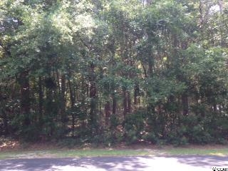 Lot B-9 Live Oak Dr. Little River, SC 29566