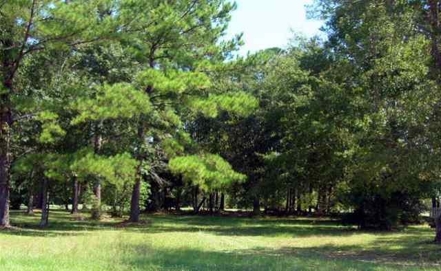 Lot 58 Buck Trail Longs, SC 29568