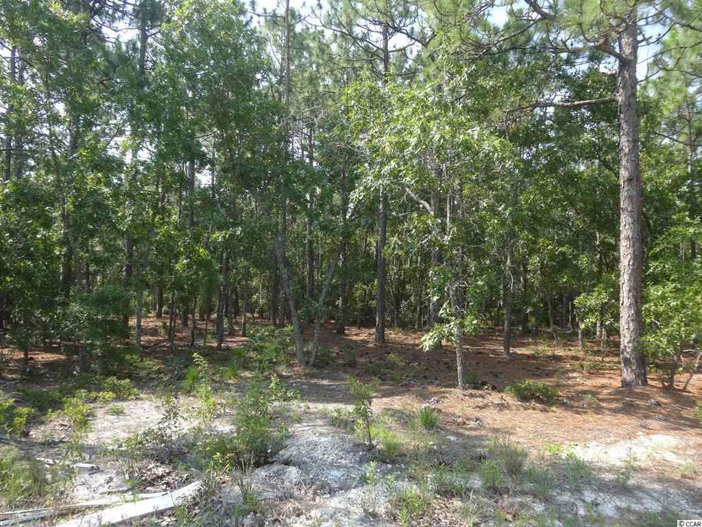 Lot 1 Rutters Trail Pawleys Island, SC 29585