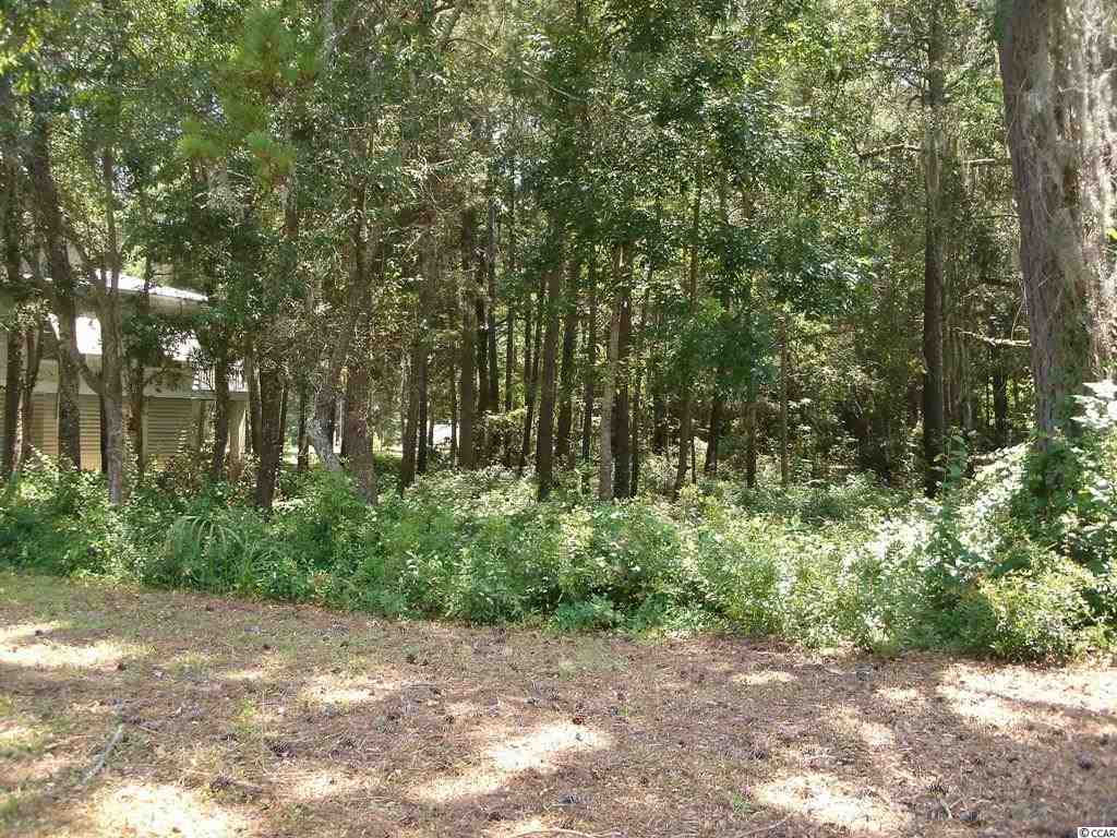 Lot 33 Cayman Loop Pawleys Island, SC 29585