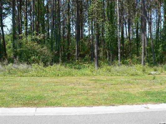 Lot 62 Old Bryan Dr. Myrtle Beach, SC 29577