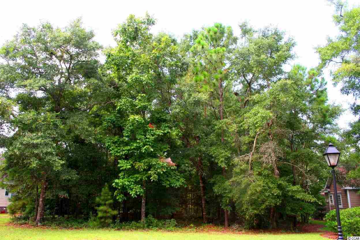 Lot 44 Hunters Oak Ct. Pawleys Island, SC 29585