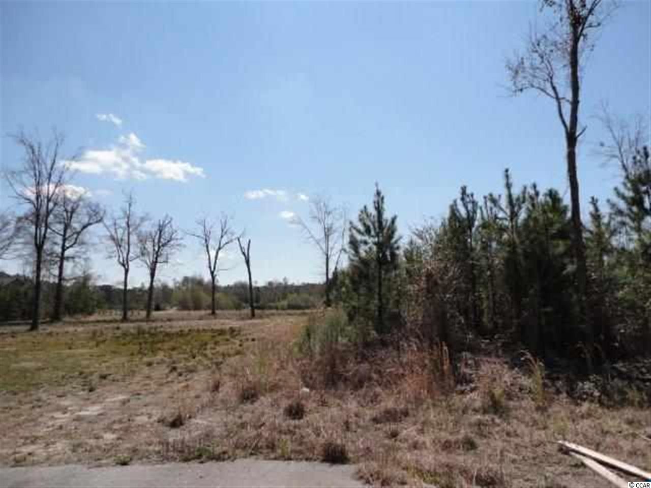 Lot 5 Highway 905 Longs, SC 29568