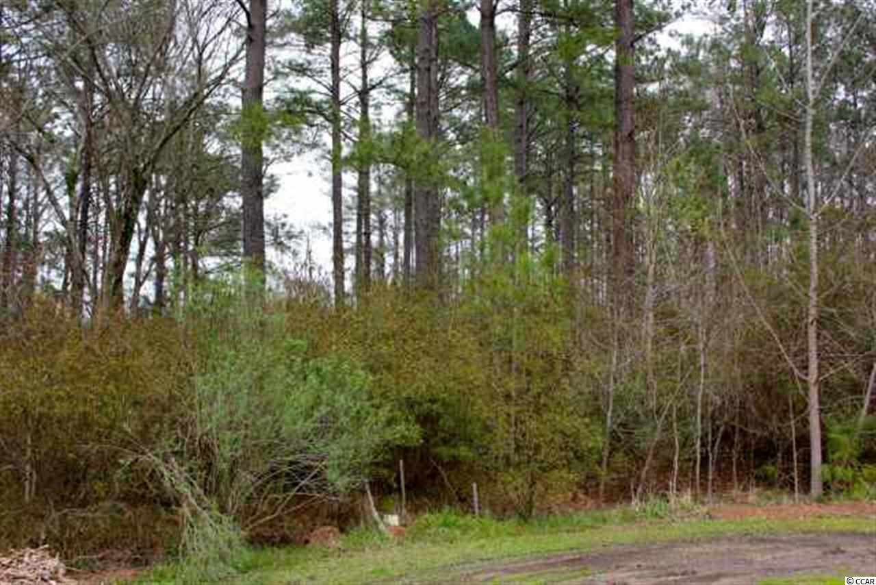 LOT 22 Caines Ct. Conway, SC 29526