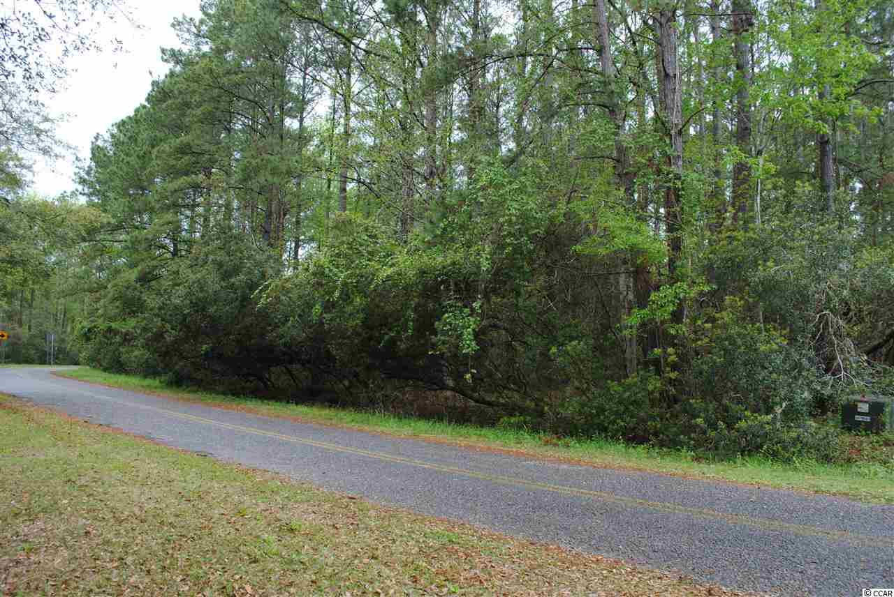 Lot 16 Sec S Carolina Rd. Mcclellanville, SC 29458