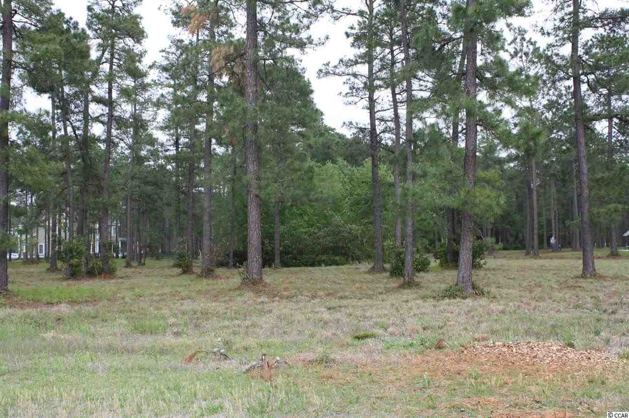 LOT 86 Starlit Way Myrtle Beach, SC 29579