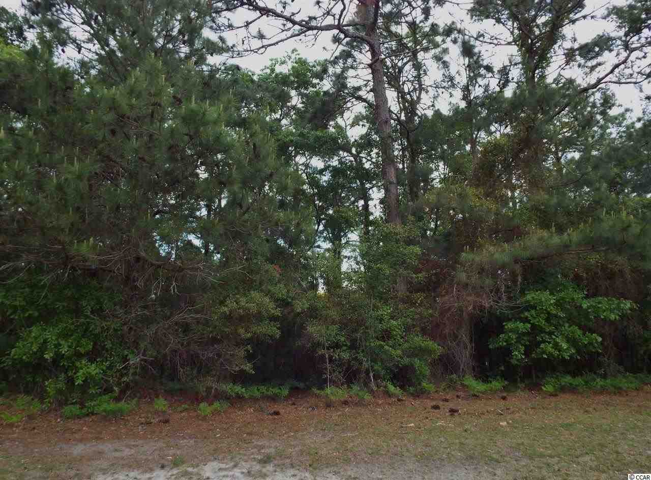 Lot 39 G Red Tail Hawk Loop Pawleys Island, SC 29585