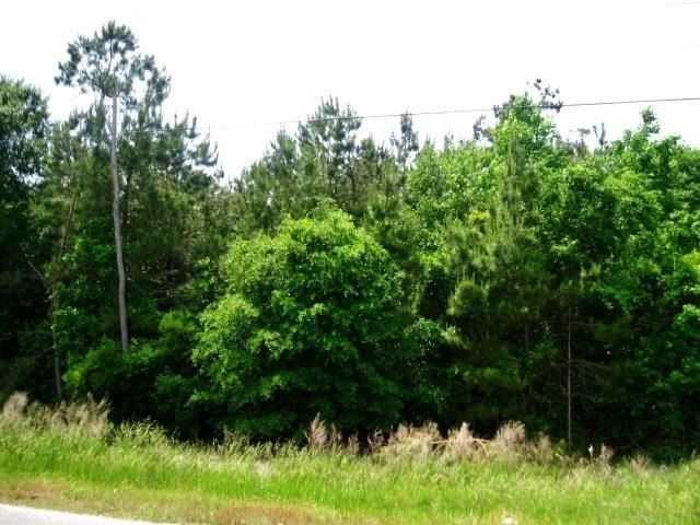 62 acre McDowell Short Cut Rd. Murrells Inlet, SC 29576