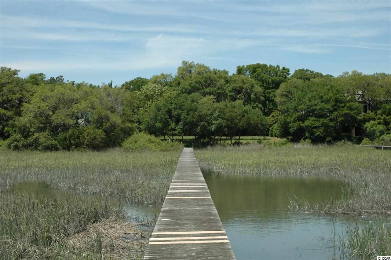 Lot 18 Wildberry Way Pawleys Island, SC 29585