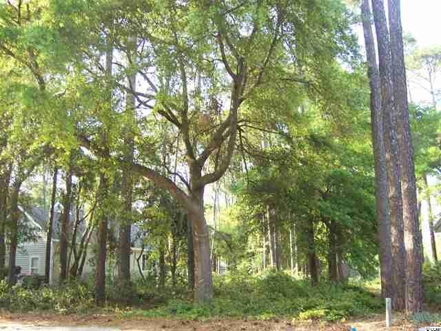 4905 Bucks Bluff Dr. North Myrtle Beach, SC 29582