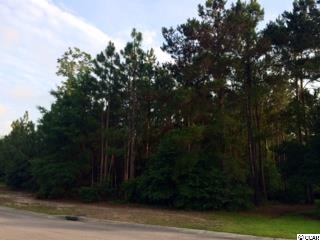 Lot 61 E Preservation Circle Pawleys Island, SC 29585