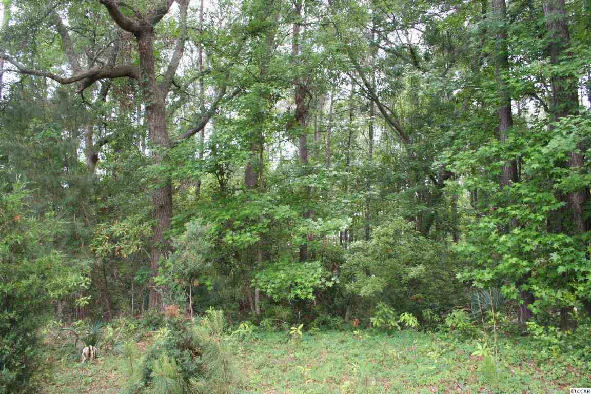 Lot 13 Lantana Circle Georgetown, SC 29440