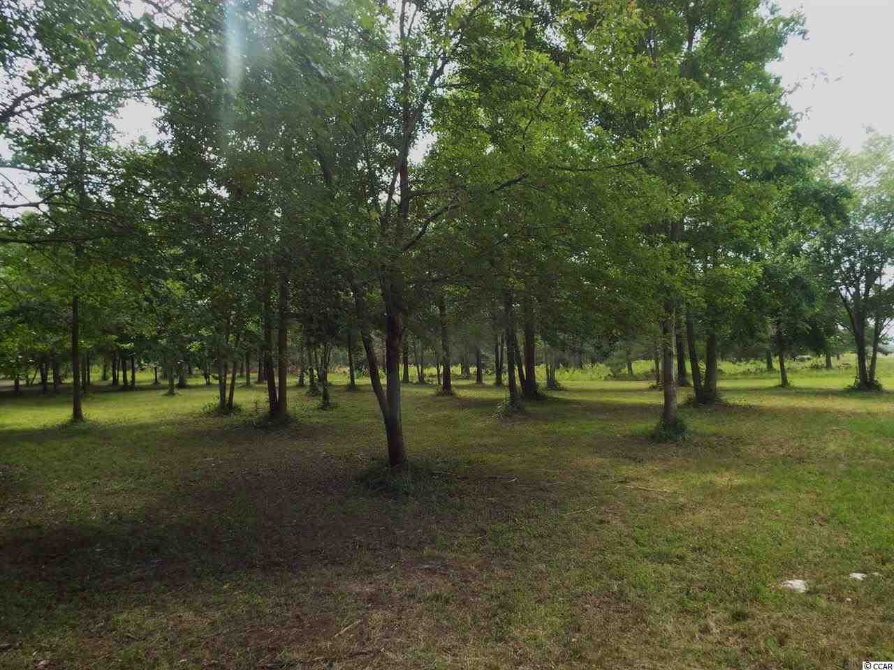 Lot 1 Red Bluff Rd. Loris, SC 29569