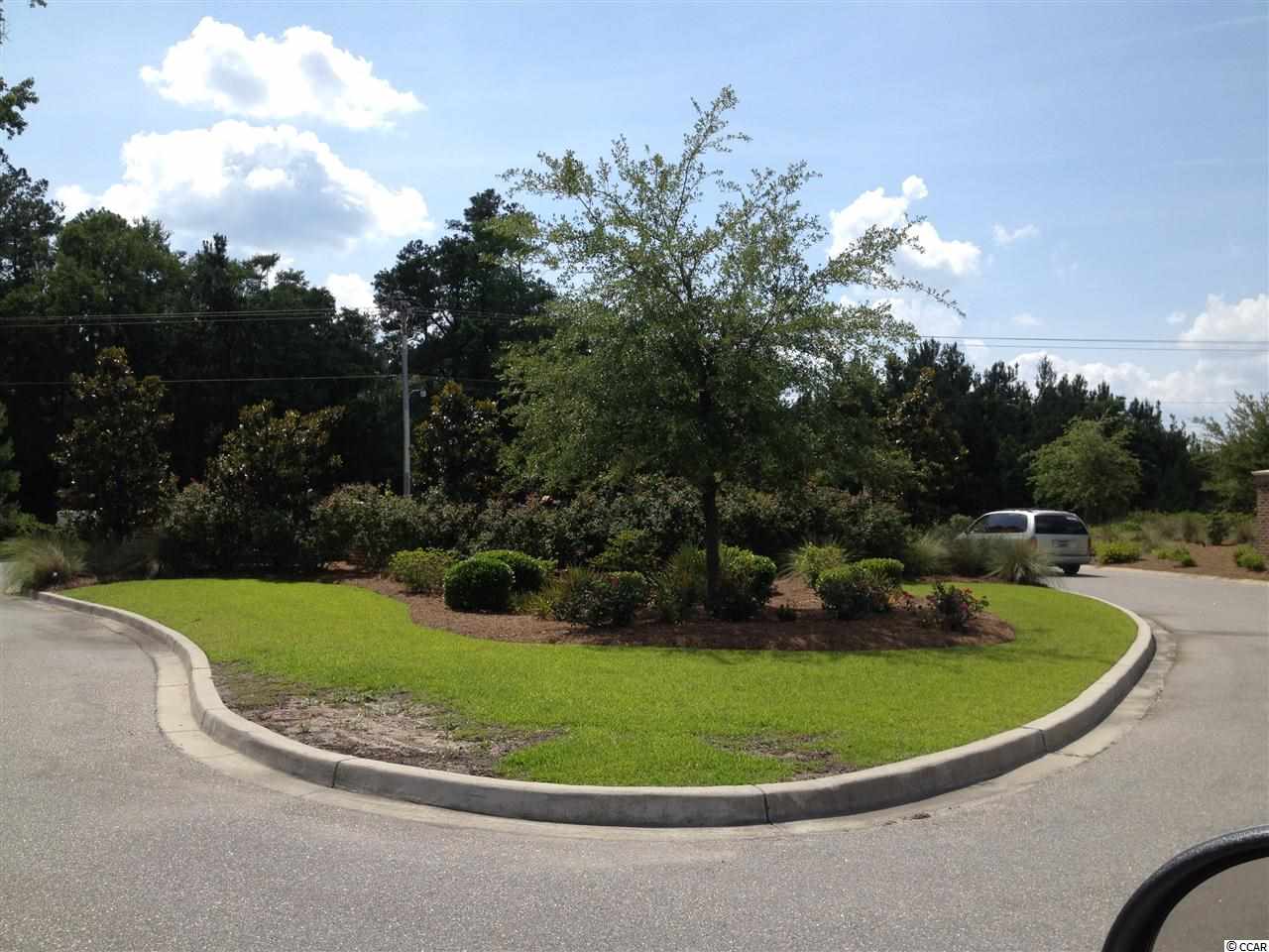 Lot 20 Bucksville Oaks Conway, SC 29527