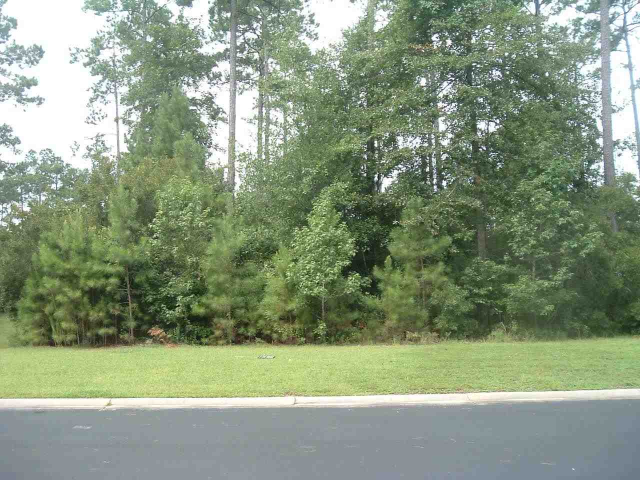 Lot 89 Creek View Ct. Murrells Inlet, SC 29576