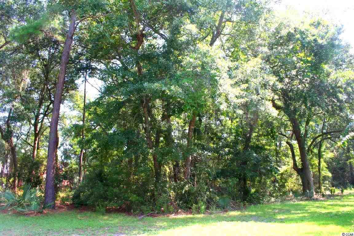 Lot 11 Lantana Circle Georgetown, SC 29440