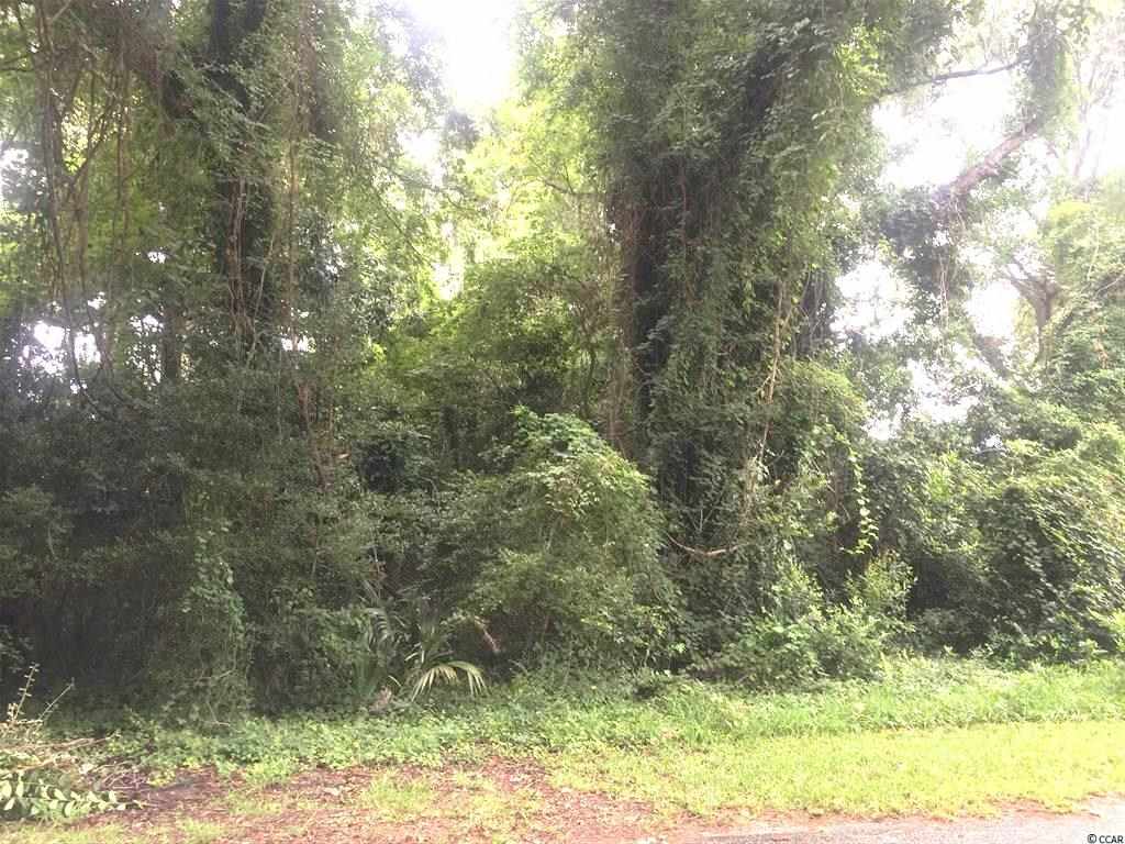 Lot 9 N 1st Ave. N Surfside Beach, SC 29575