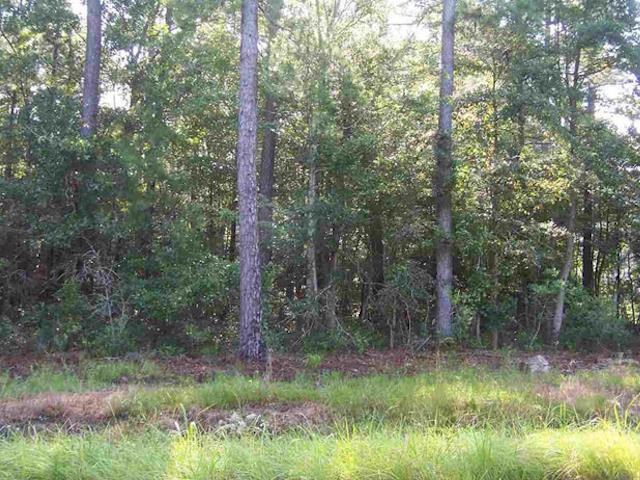 Lot 40 Highway 50 Little River, SC 29566