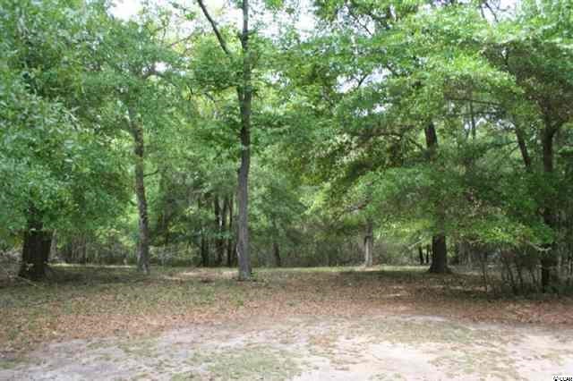 Lot 7 Brickfall Way Pawleys Island, SC 29585