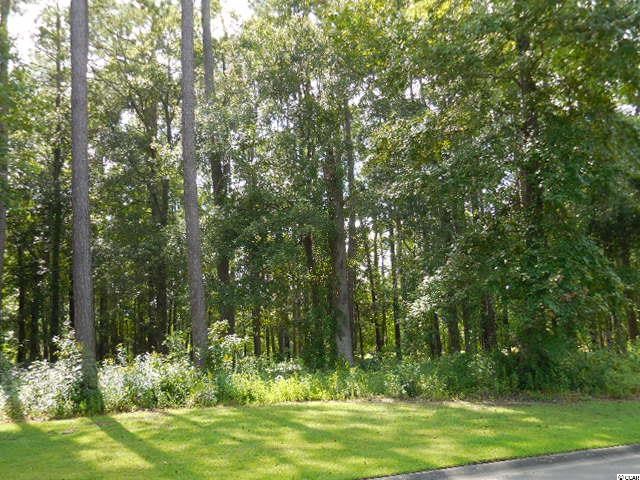 Lot 13 Cat Briar Ct. Longs, SC 29568