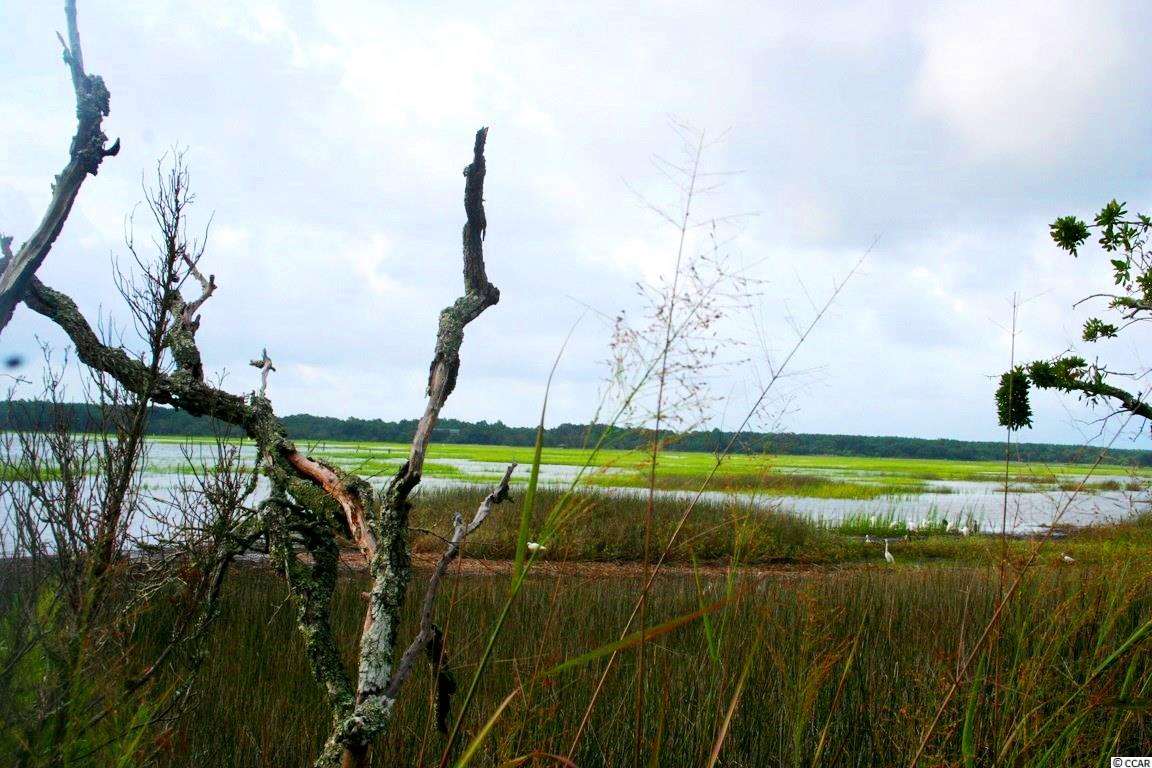Gillette Pl. Murrells Inlet, SC 29576
