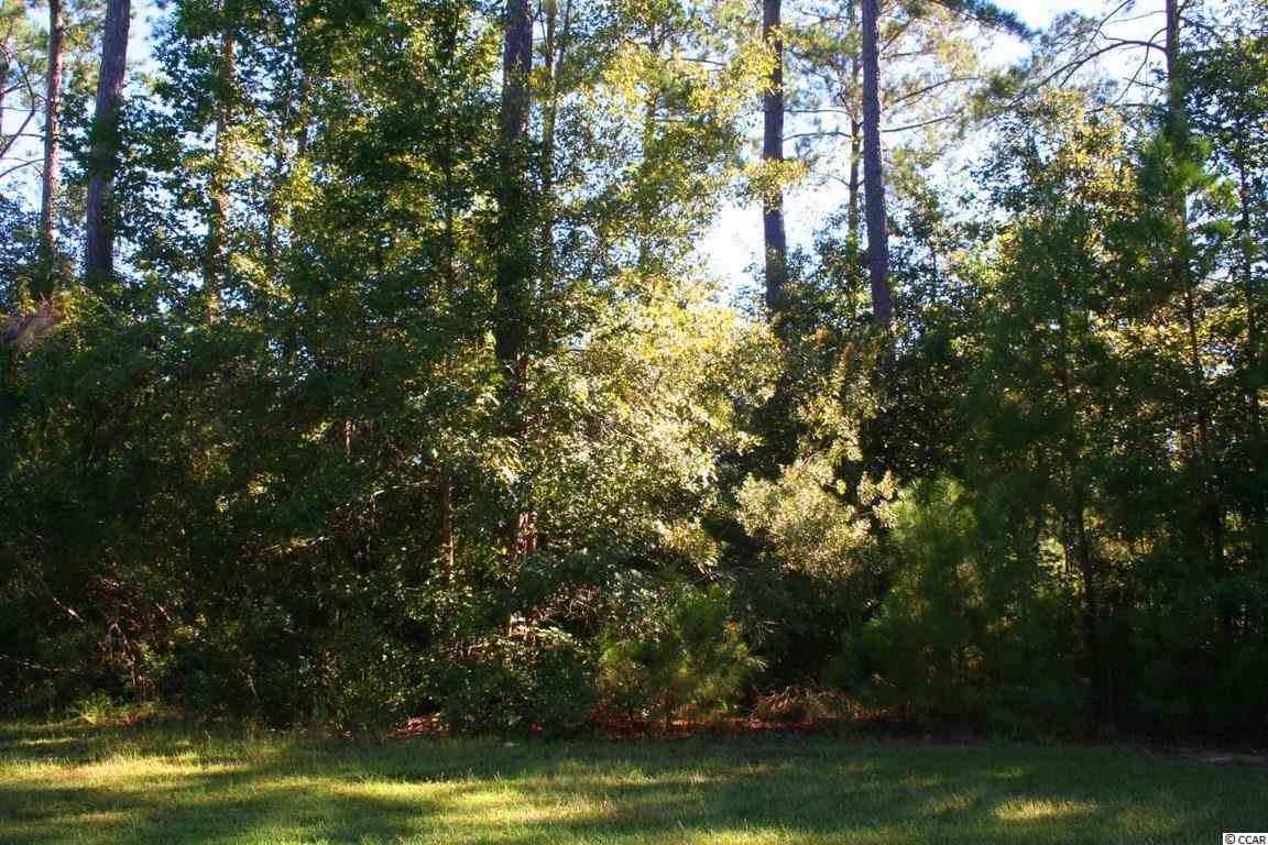 Lot 124 Caleb Ct. Murrells Inlet, SC 29576