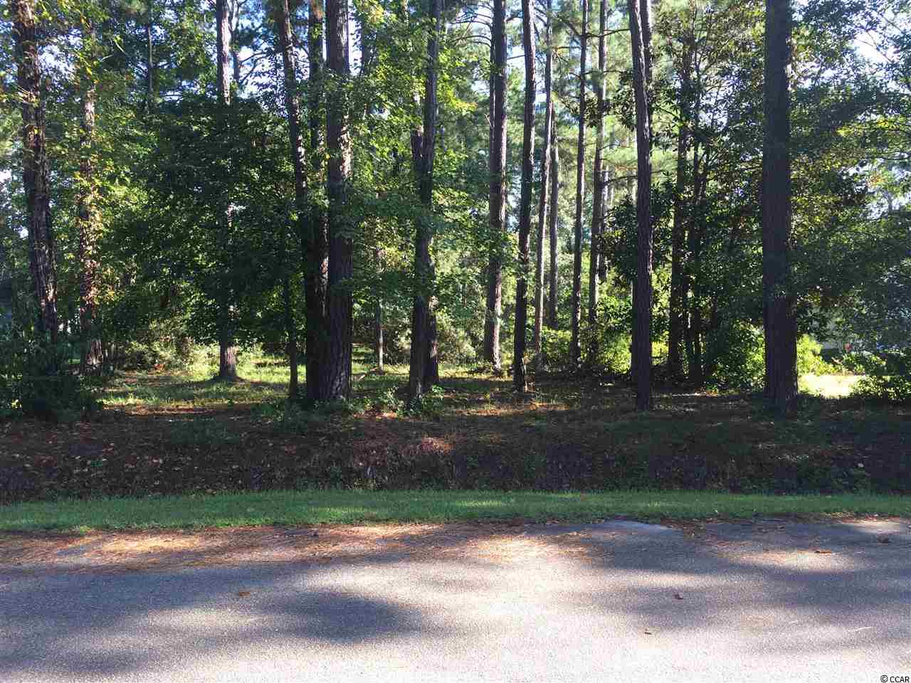 Lot 39 John Waites Ct. Georgetown, SC 29440