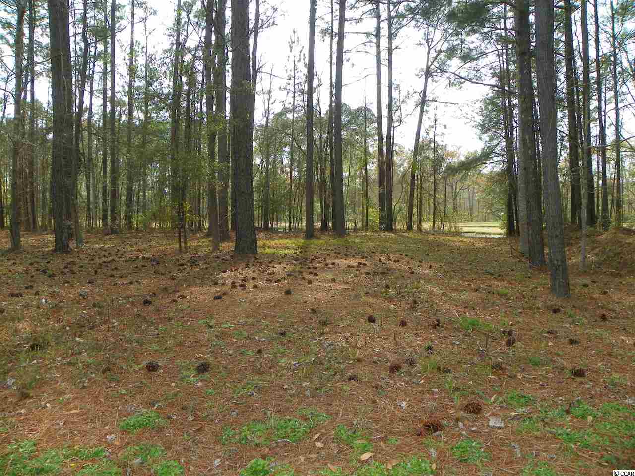 Lot 362 McLeod Ln. Myrtle Beach, SC 29588