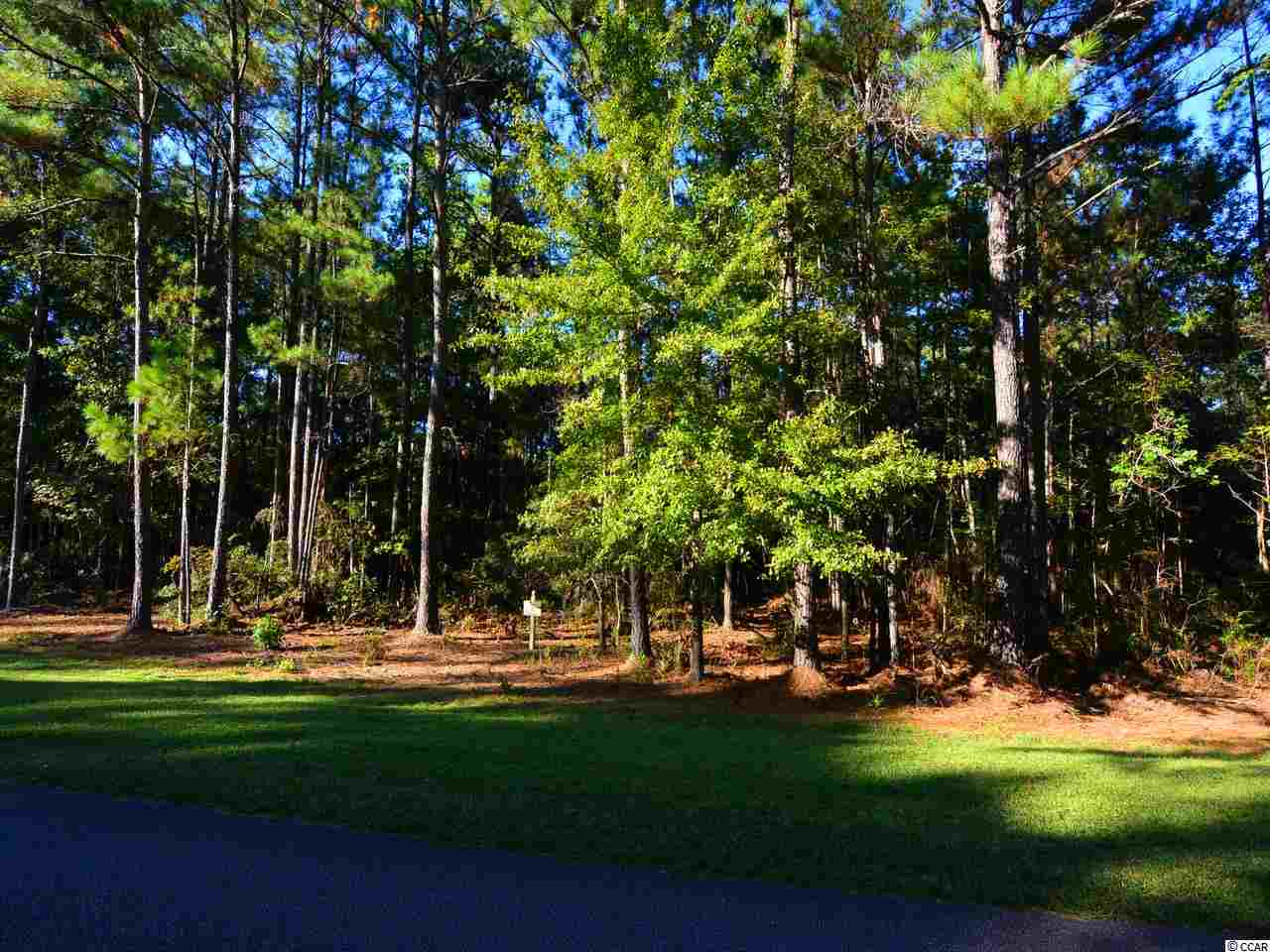 Lot 112 Vanderbilt Blvd. Pawleys Island, SC 29585