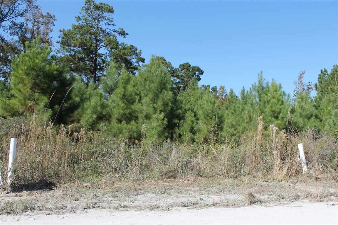 TBD Carroll Todd Rd. Conway, SC 29526
